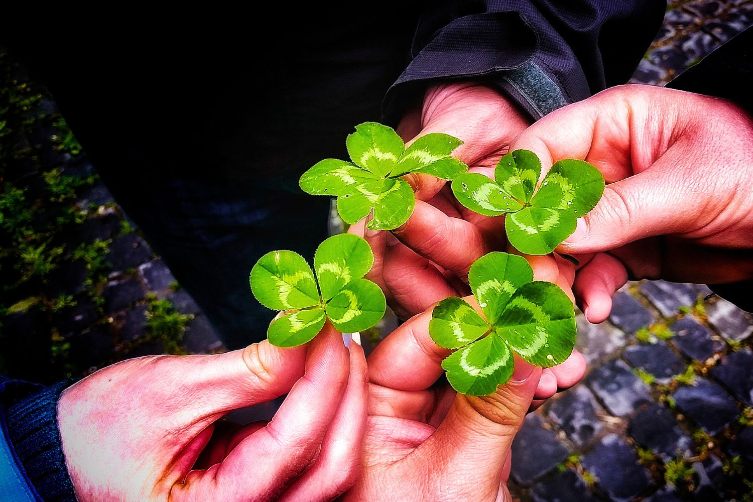 Rituel de chance et de réussite professionnelle en Belgique